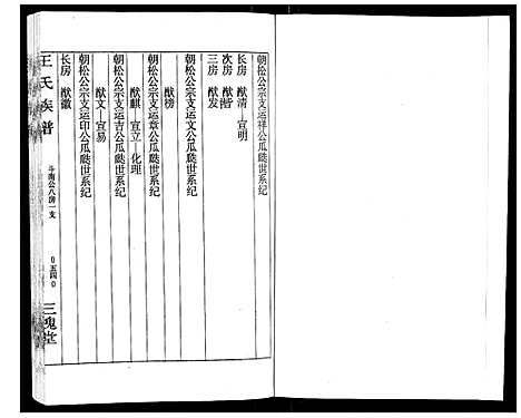 [王]王氏族谱 (湖南) 王氏家谱_九.pdf