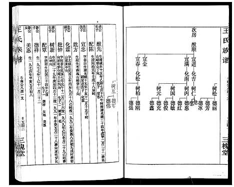 [王]王氏族谱 (湖南) 王氏家谱_九.pdf