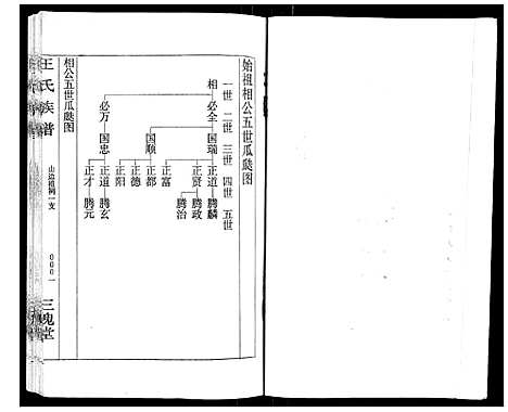 [王]王氏族谱 (湖南) 王氏家谱_十二.pdf