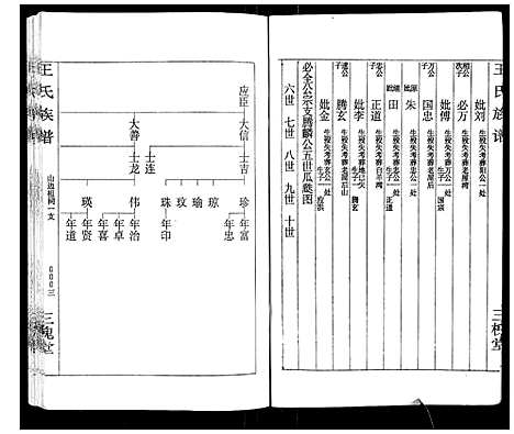 [王]王氏族谱 (湖南) 王氏家谱_十二.pdf