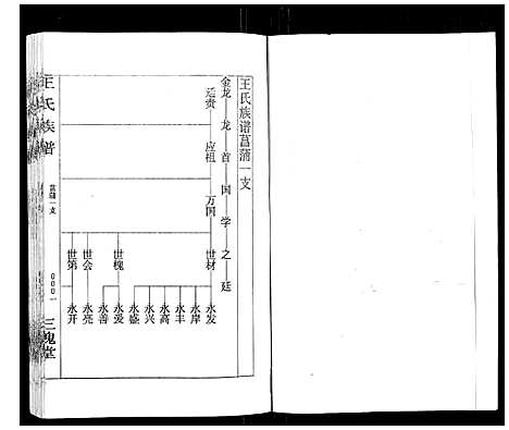 [王]王氏族谱 (湖南) 王氏家谱_十五.pdf