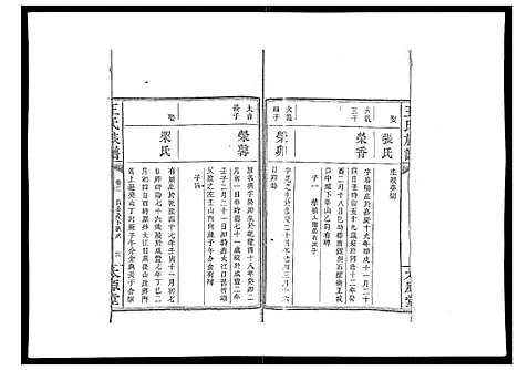 [王]王氏族谱 (湖南) 王氏家谱_五.pdf