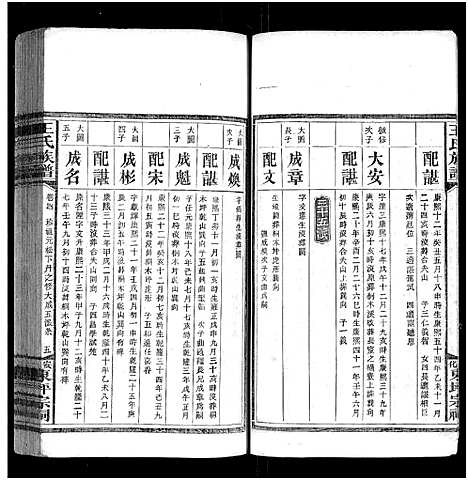 [王]王氏族谱_11卷 (湖南) 王氏家谱_五.pdf