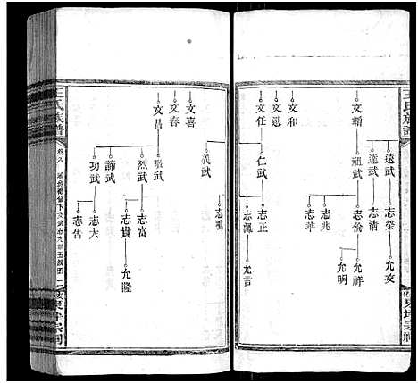 [王]王氏族谱_11卷 (湖南) 王氏家谱_九.pdf