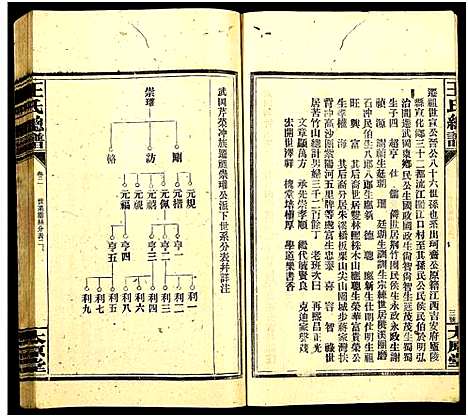 [王]王氏总谱_8卷 (湖南) 王氏总谱_三.pdf