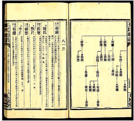 [王]王氏总谱_8卷 (湖南) 王氏总谱_五.pdf