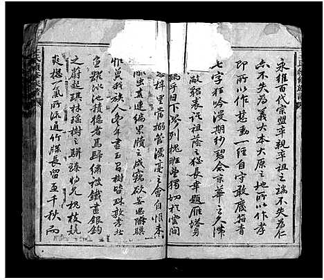 [王]王氏续修族谱_总卷数不详-王氏复修家谱_Wang Shi Fu Xiu (湖南) 王氏续修家谱_三.pdf