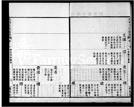 [王]王氏通谱_106卷首2卷 (湖南) 王氏通谱_二.pdf