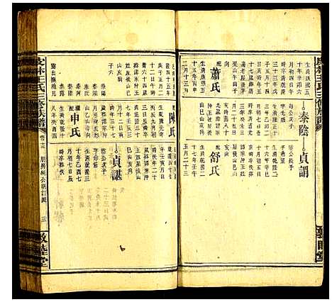 [王]皮林王氏三修族谱 (湖南) 皮林王氏三修家谱_十一.pdf