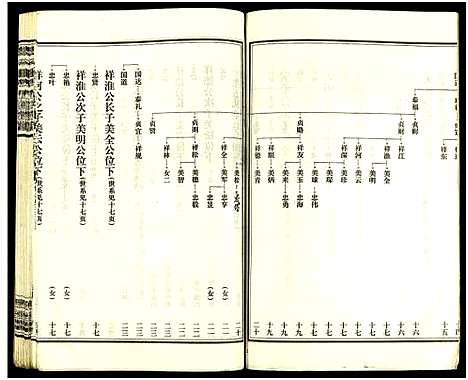 [王]皮林王氏五修族谱_26卷 (湖南) 皮林王氏五修家谱_二.pdf