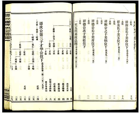 [王]皮林王氏五修族谱_26卷 (湖南) 皮林王氏五修家谱_二.pdf