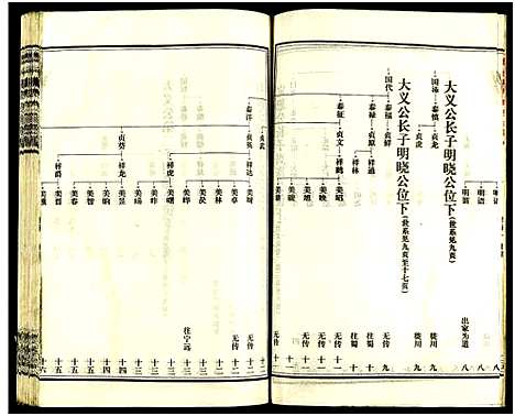 [王]皮林王氏五修族谱_26卷 (湖南) 皮林王氏五修家谱_三.pdf