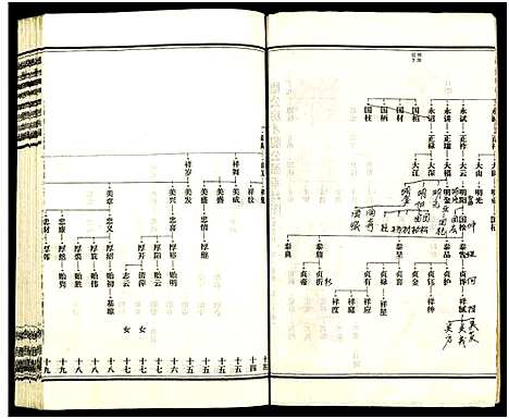 [王]皮林王氏五修族谱_26卷 (湖南) 皮林王氏五修家谱_二十一.pdf