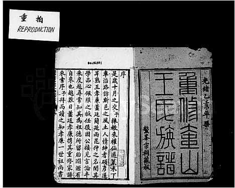 [王]重修奎山王氏族谱_12卷首1卷 (湖南) 重修奎山王氏家谱_一.pdf