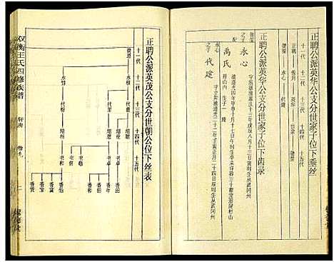 [王]双衡王氏四修族谱_14卷 (湖南) 双衡王氏四修家谱_九.pdf