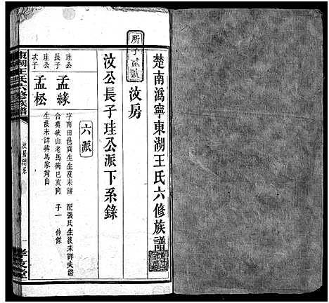 [王]东湖王氏族谱_不分卷-楚南沩宁东湖王氏六修族谱_东湖王氏六修族谱_Dong Hu Wang Shi_东湖王氏族谱 (湖南) 东湖王氏家谱_十三.pdf