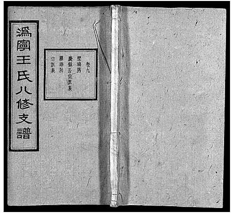 [王]沩宁王氏八修支谱_10卷-王氏支谱_Wei Ning Wang Shi Ba Xiu Zhi Pu_王氏八修支谱_沩宁王氏八修支谱 (湖南) 沩宁王氏八修支谱_九.pdf