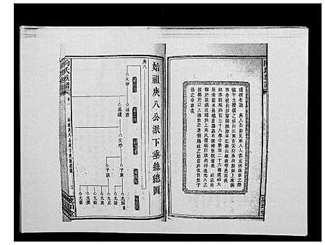 [向]向氏族谱 (湖南) 向氏家谱_三.pdf