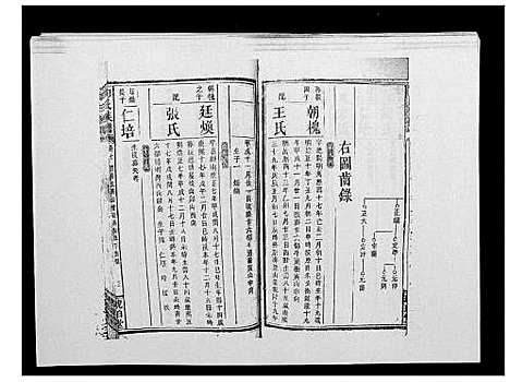 [向]向氏族谱 (湖南) 向氏家谱_九.pdf