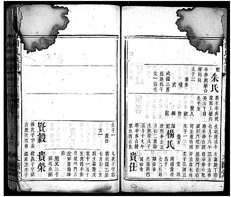 [向]向氏族谱_总卷数不详-Xiang Shi (湖南) 向氏家谱_五.pdf