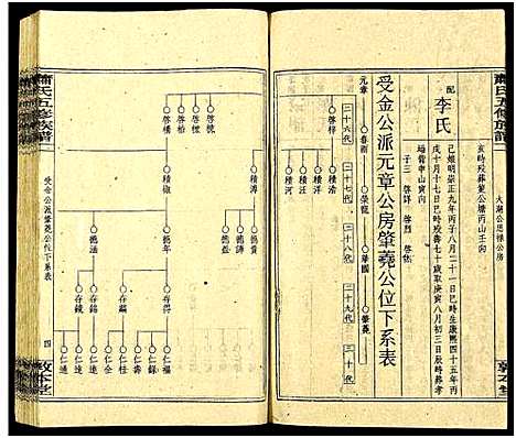 [萧]秀溪萧氏五修族谱_存69卷-萧氏五修族谱 (湖南) 秀溪萧氏五修家谱_十五.pdf