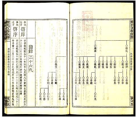 [萧]秀溪萧氏五修族谱_存69卷-萧氏五修族谱 (湖南) 秀溪萧氏五修家谱_A110.pdf