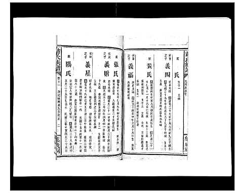 [萧]萧氏族谱_18卷首5卷 (湖南) 萧氏家谱_十七.pdf