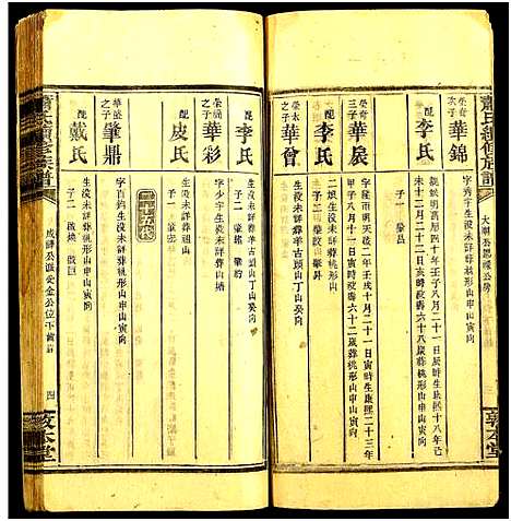 [萧]萧氏续修族谱_卷数不详-Xiao Shi (湖南) 萧氏续修家谱_九.pdf