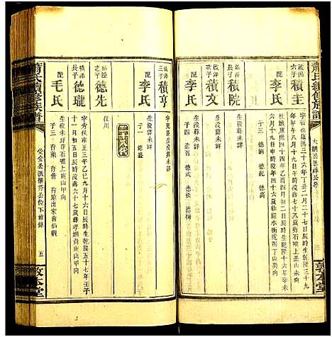 [萧]萧氏续修族谱_卷数不详-Xiao Shi (湖南) 萧氏续修家谱_十七.pdf