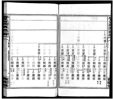 [谢]学堂谢氏族谱_86卷含首12卷_续录1卷_纪念册1卷_摊谱5卷含卷首-学堂谢氏五修族谱_Xue Tang Xie Shi_学堂谢氏族谱 (湖南) 学堂谢氏家谱_二十八.pdf