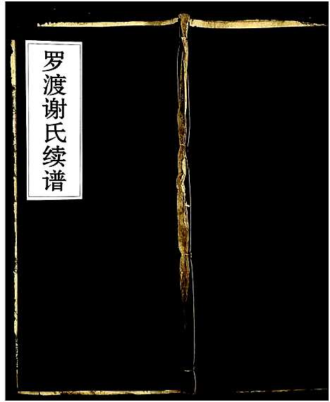 [谢]罗渡谢氏续谱_残卷 (湖南) 罗渡谢氏续谱_八.pdf