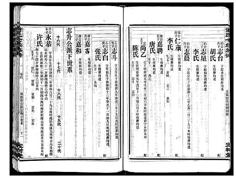 [谢]谢氏七续族谱_29卷首1卷末3卷 (湖南) 谢氏七续家谱_八.pdf