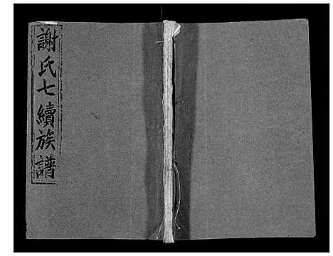 [谢]谢氏七续族谱_29卷首1卷末3卷 (湖南) 谢氏七续家谱_十.pdf