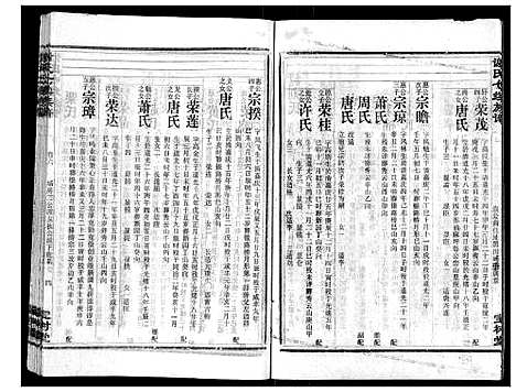 [谢]谢氏七续族谱_29卷首1卷末3卷 (湖南) 谢氏七续家谱_十.pdf