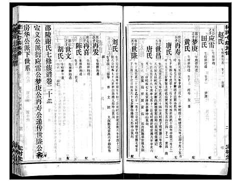 [谢]谢氏七续族谱_29卷首1卷末3卷 (湖南) 谢氏七续家谱_二十四.pdf