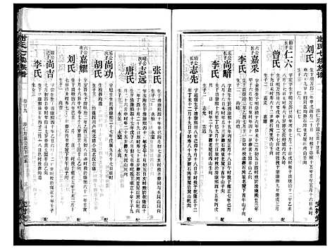 [谢]谢氏七续族谱_29卷首1卷末3卷 (湖南) 谢氏七续家谱_二十九.pdf