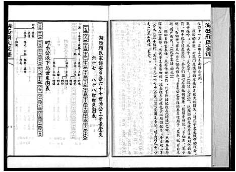 [颜]湖西颜氏家谱 (湖南) 湖西颜氏家谱_八.pdf