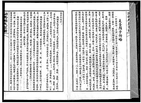 [颜]湖西颜氏家谱 (湖南) 湖西颜氏家谱_十一.pdf