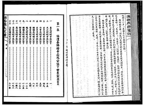 [颜]湖西颜氏家谱 (湖南) 湖西颜氏家谱_十二.pdf