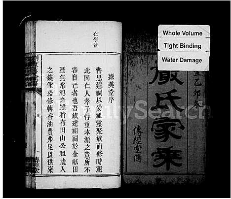 [严]浏东严氏族谱_浏东严氏家乘 (湖南) 浏东严氏家谱.pdf