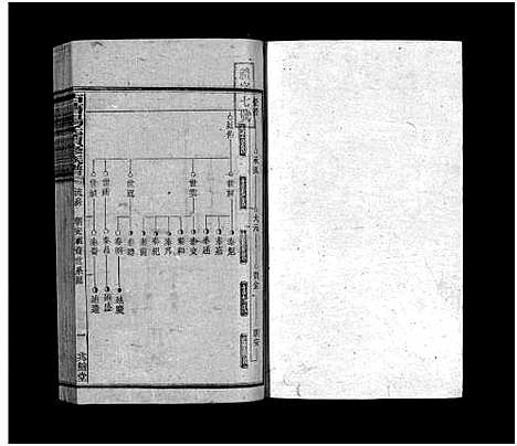 [杨]古塘杨氏续修族谱_26卷-杨氏族谱_Gutang Yang Shi_古塘杨氏续修族谱 (湖南) 古塘杨氏续修家谱_九.pdf