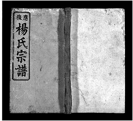 [杨]应复杨氏宗谱_世系4卷_行传62卷首5卷_附谱1卷-Ying Fu Yang Shi_杨氏宗谱_应复杨氏宗谱 (湖南) 应复杨氏家谱_十三.pdf