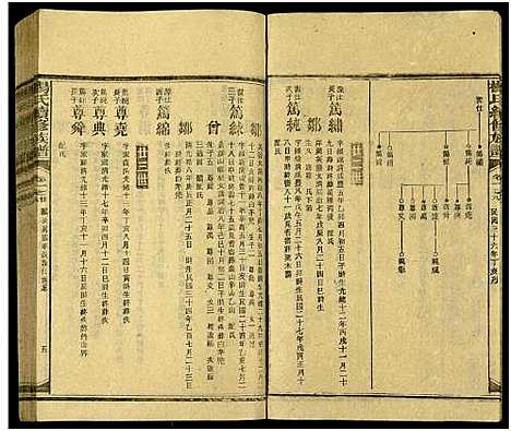 [杨]新化杨氏族谱_世系5卷首10卷-新化杨氏续修族谱_Xinhua Yang Shi Zupu_杨氏续修族谱_新化杨氏族谱 (湖南) 新化杨氏家谱_十九.pdf