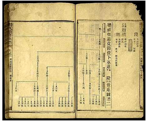 [杨]新化杨氏族谱_世系5卷首10卷-新化杨氏续修族谱_Xinhua Yang Shi Zupu_杨氏续修族谱_新化杨氏族谱 (湖南) 新化杨氏家谱_二十一.pdf