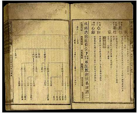 [杨]新化杨氏族谱_世系5卷首10卷-新化杨氏续修族谱_Xinhua Yang Shi Zupu_杨氏续修族谱_新化杨氏族谱 (湖南) 新化杨氏家谱_三十.pdf