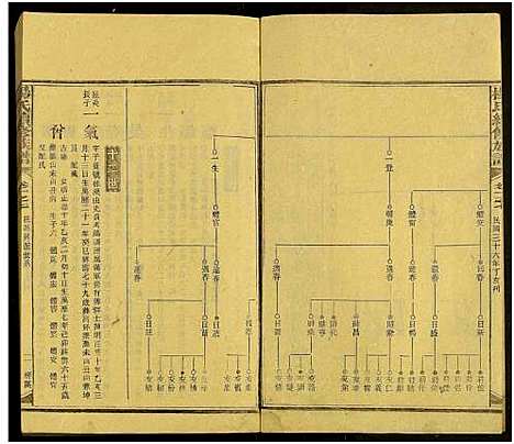 [杨]新化杨氏族谱_世系5卷首10卷-新化杨氏续修族谱_Xinhua Yang Shi Zupu_杨氏续修族谱_新化杨氏族谱 (湖南) 新化杨氏家谱_四十一.pdf