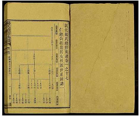 [杨]新化杨氏族谱_世系5卷首10卷-新化杨氏续修族谱_Xinhua Yang Shi Zupu_杨氏续修族谱_新化杨氏族谱 (湖南) 新化杨氏家谱_四十五.pdf