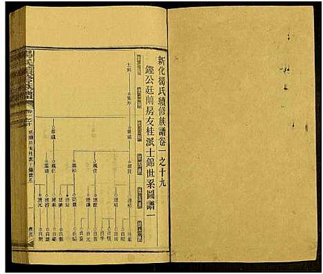 [杨]新化杨氏族谱_世系5卷首10卷-新化杨氏续修族谱_Xinhua Yang Shi Zupu_杨氏续修族谱_新化杨氏族谱 (湖南) 新化杨氏家谱_四十六.pdf