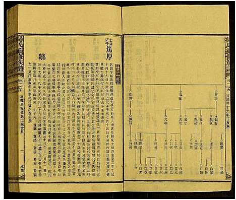 [杨]新化杨氏族谱_世系5卷首10卷-新化杨氏续修族谱_Xinhua Yang Shi Zupu_杨氏续修族谱_新化杨氏族谱 (湖南) 新化杨氏家谱_四十六.pdf