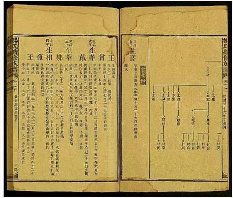 [杨]新化杨氏族谱_世系5卷首10卷-新化杨氏续修族谱_Xinhua Yang Shi Zupu_杨氏续修族谱_新化杨氏族谱 (湖南) 新化杨氏家谱_四十七.pdf